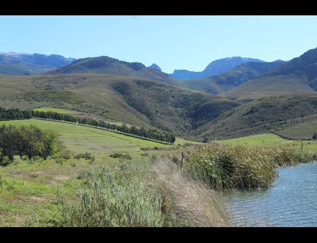 118HA FARM FOR SALE IN GREYTON